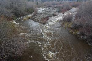 sacramento-river-2-custom