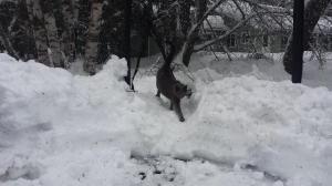 20170121_100557-custom