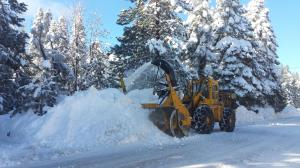 20170124_094911-custom