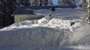 20170124_100200-custom