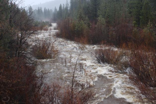 cascades-mt-shasta-feb2017-345-custom